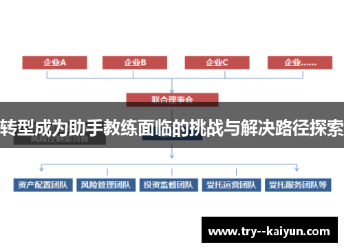 转型成为助手教练面临的挑战与解决路径探索 转型成为助手教练面临的挑战与解决路径探索