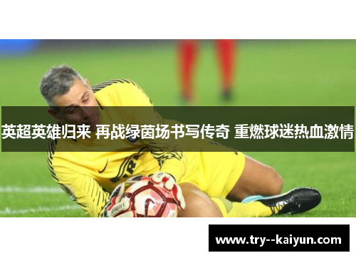 英超英雄归来 再战绿茵场书写传奇 重燃球迷热血激情 英超英雄归来 再战绿茵场书写传奇 重燃球迷热血激情